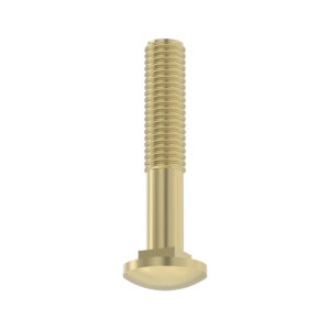 Round Head Square Neck Bolt, M10 X 60