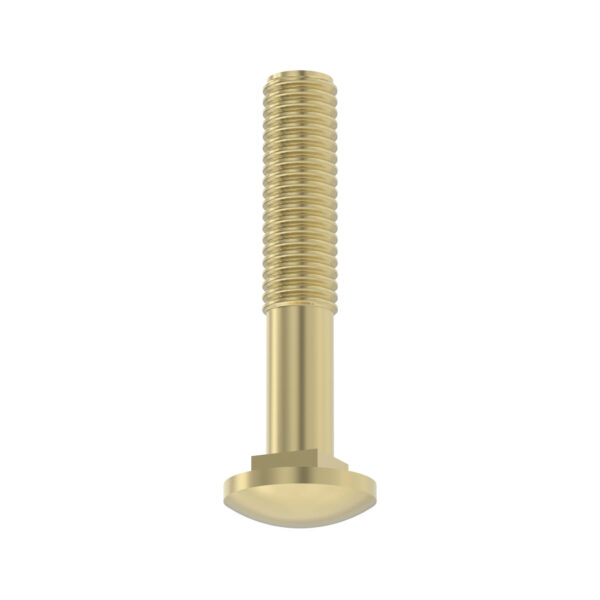 Round Head Square Neck Bolt, M10 X 60