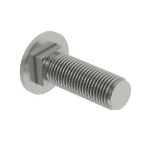 Round Head Square Neck Bolt, M10 X 20
