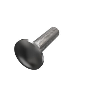 Round Head Square Neck Bolt, M10 X 45