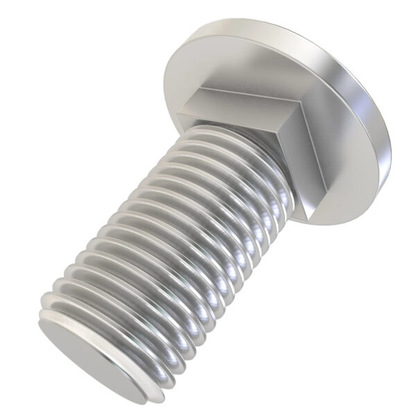 Round Head Square Neck Bolt, M8 X 20