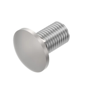 Carriage Bolt, M10 X 20