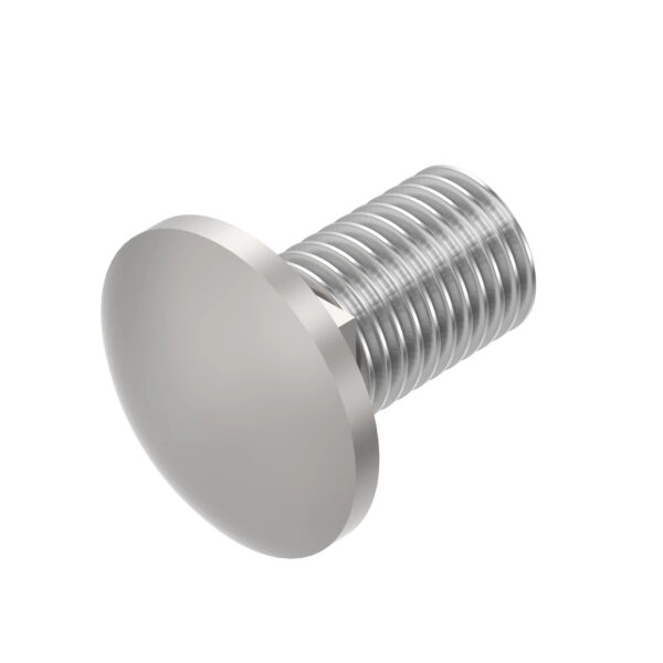 Carriage Bolt, M10 X 20