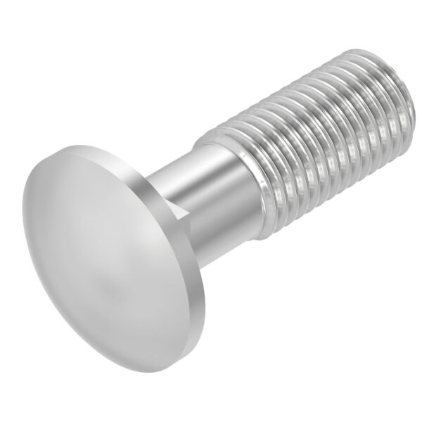 Round Head Square Neck Bolt, M10 X 35