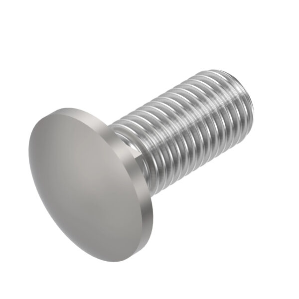 Carriage Bolt, M12 X 30
