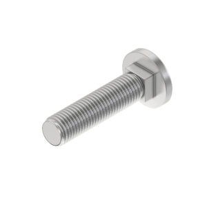 Carriage Bolt, M16 X 60