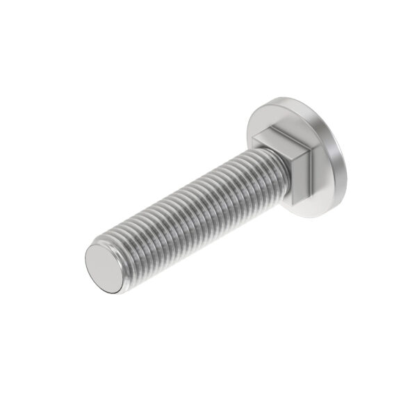 Carriage Bolt, M16 X 60