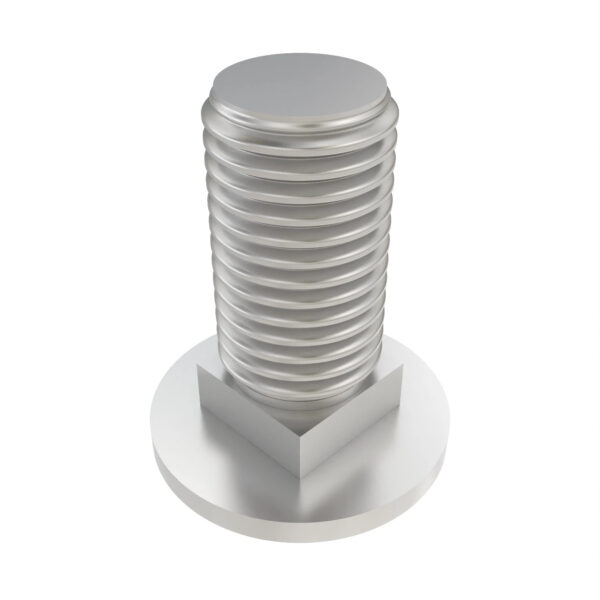 Round Head Square Neck Bolt, M10 X 25