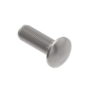 Round Head Square Neck Bolt, M10 X 50