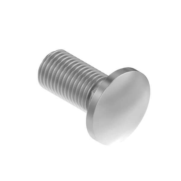 Round Head Square Neck Bolt, M16 X 25