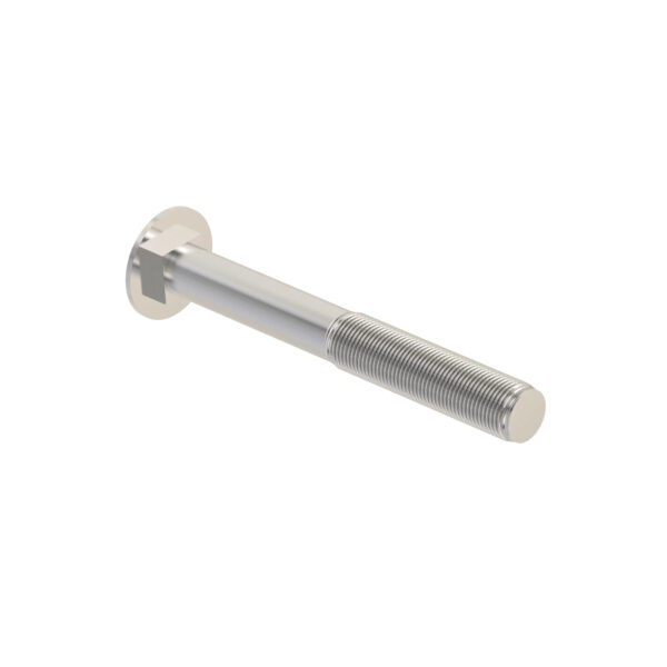 Round Head Square Neck Bolt, M16 X 140