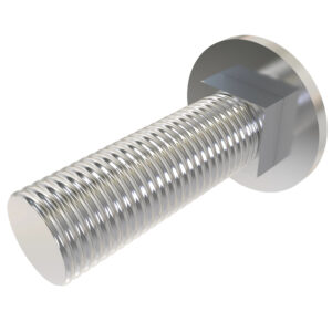 Round Head Square Neck Bolt, M10 X 30