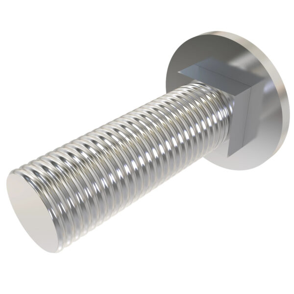 Round Head Square Neck Bolt, M10 X 30