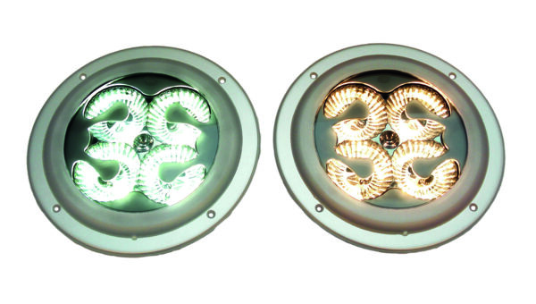 Interior Light - CargoLED - LED - 24/12V