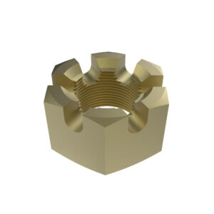 Hexagonal Slotted Nut, 5/16"