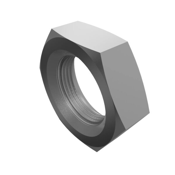 Hexagonal Nut, M10