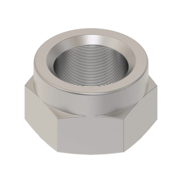 Hexagonal Lock Nut, M30