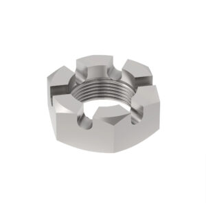 Hexagonal Slotted Nut, M24