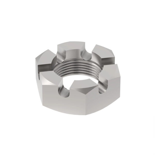Hexagonal Slotted Nut, M24