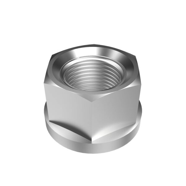 Hexagonal Flange Nut, M18