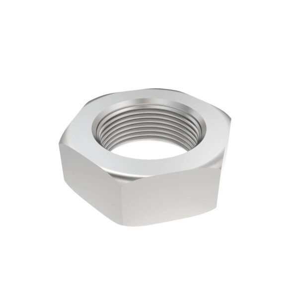 Hexagonal Nut, M10