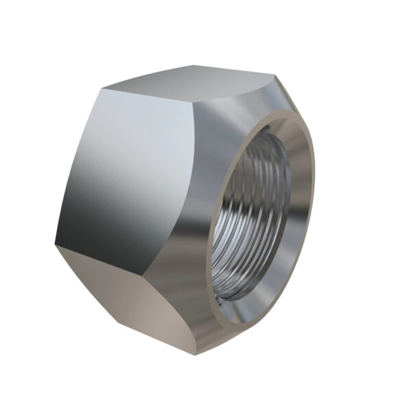 Hexagonal Lock Nut, M12