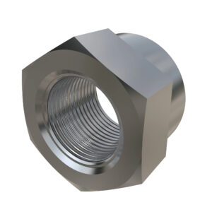 Hexagonal Lock Nut, M24