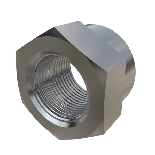 Hexagonal Lock Nut, M24