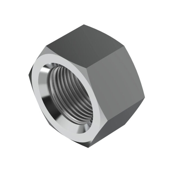 Hexagonal Lock Nut, M10