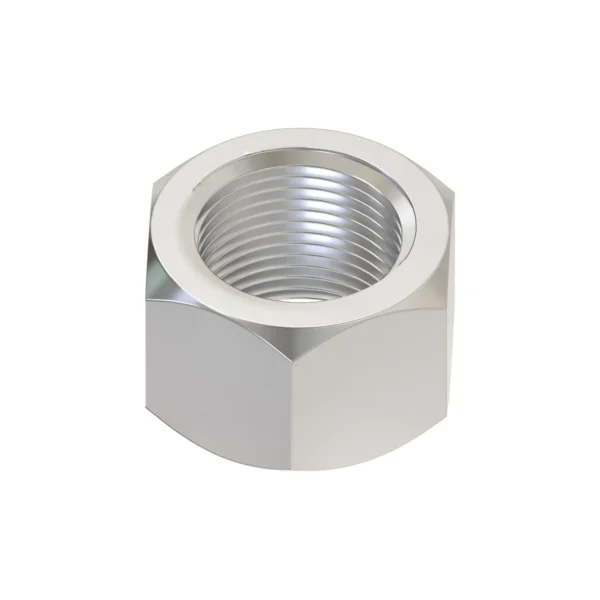 Hexagonal Nut, M24