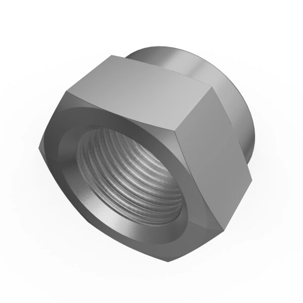 Hexagonal Lock Nut, M24