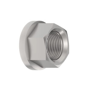 Hexagonal Flange Nut, M20
