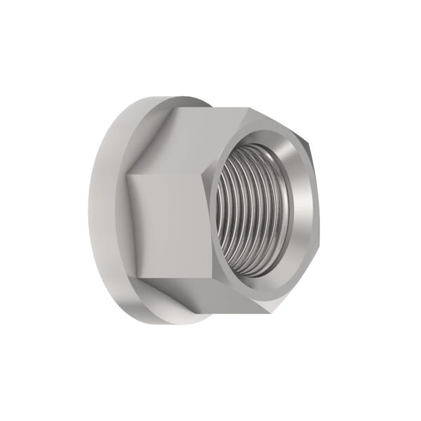 Hexagonal Flange Nut, M20