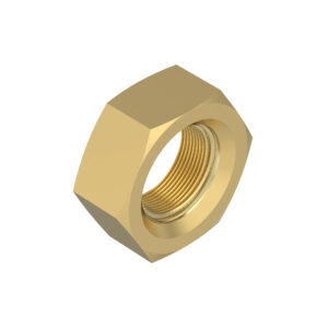 Hexagonal Nut, M10