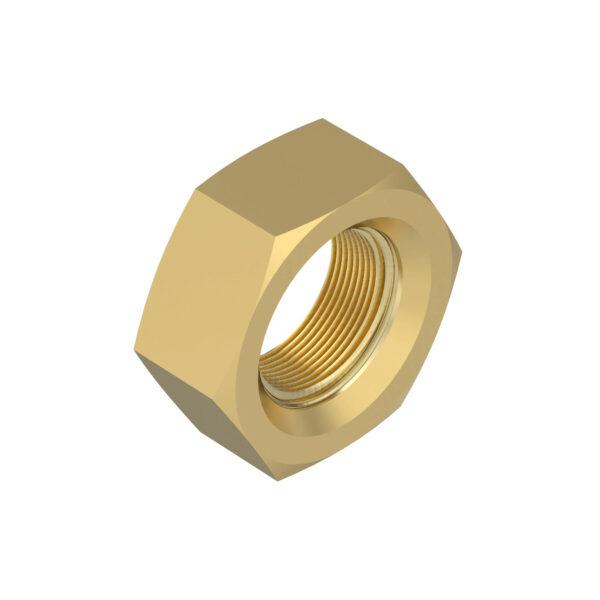 Hexagonal Nut, M10