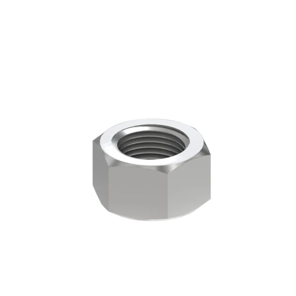 Hexagonal Lock Nut, M10