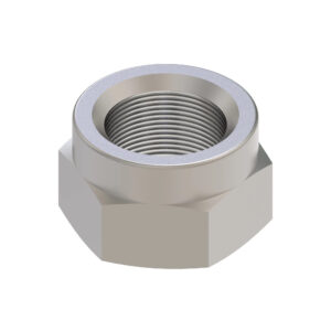 Hexagonal Lock Nut, M27