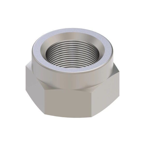 Hexagonal Lock Nut, M27
