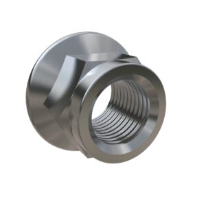 Hexagonal Lock Nut, M16