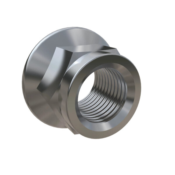 Hexagonal Lock Nut, M16