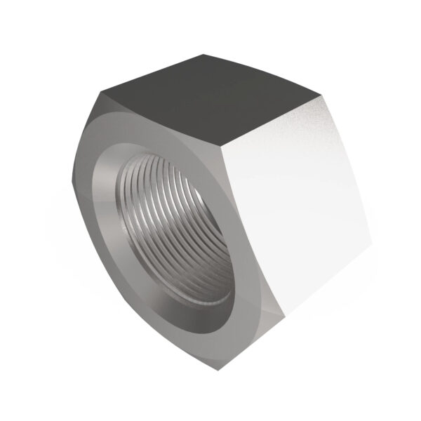 Hexagonal Nut, M22