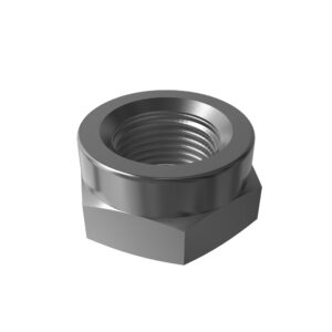 Hexagonal Lock Nut, M10