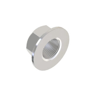 Hexagonal Flange Nut, M12
