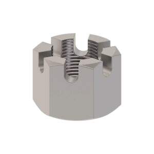 Hexagonal Slotted Nut, M16
