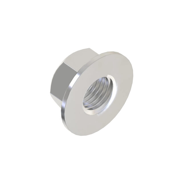 Hexagonal Flange Nut, M6