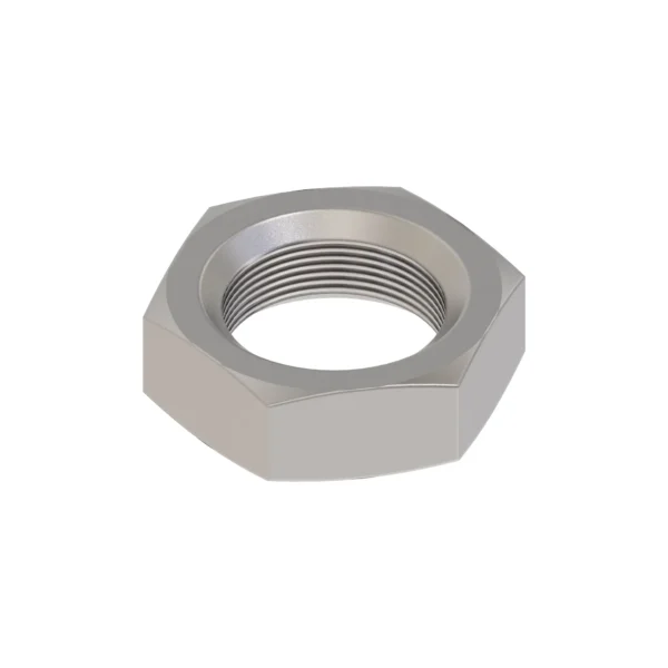 Hexagonal Nut, M16