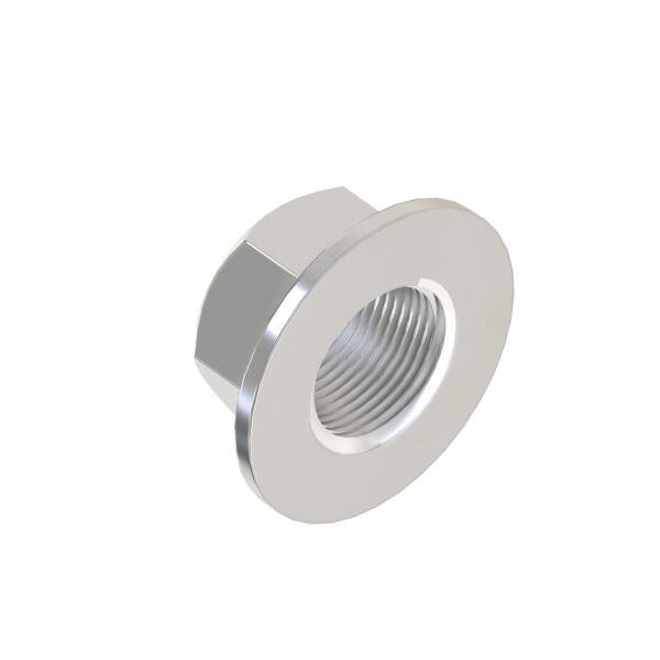 Hexagonal Flange Nut, M10
