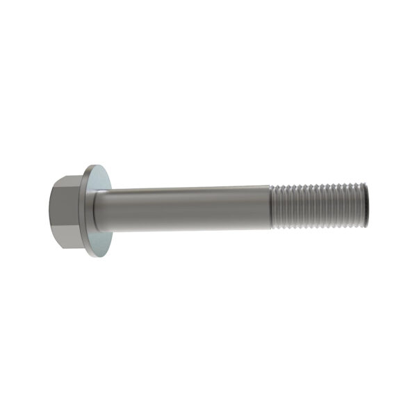 Hexagonal Head Flanged Screw, M20 X 120