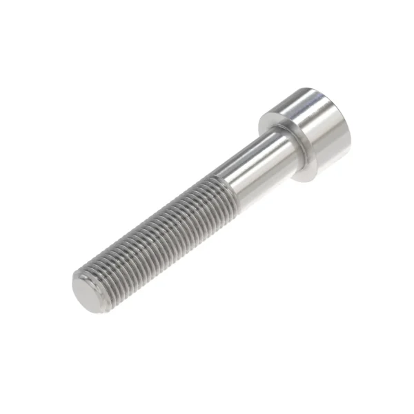 Hexagonal Socket Head Screw, M10 X 55