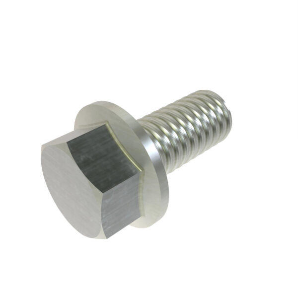 Hexagonal Head Flanged Screw, M6 X 16